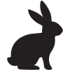 うさぎ